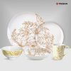 Flowers and plants dinnerware set-4